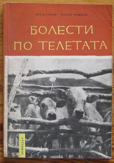 БОЛЕСТИ ПО ТЕЛЕТАТА, КРУМ ГЕРОВ, ПЕТЪР ЧУШКОВ, 1962