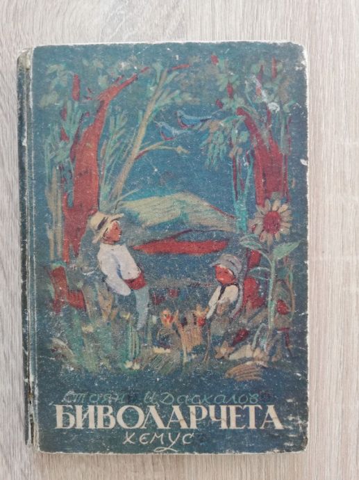 БИВОЛАРЧЕТА, СТОЯН Ц. ДАСКАЛОВ, 1946