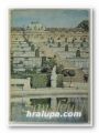 SANSSOUCI - SEINE SCHLOSSER UND GARTEN, WILLY KURTH, Berlin 1967