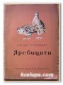 ЯРЕБИЦАТА, Н. КР. БОЕВ, Г. КОНСТАНТИНОВ, 1954 ГОДИНА